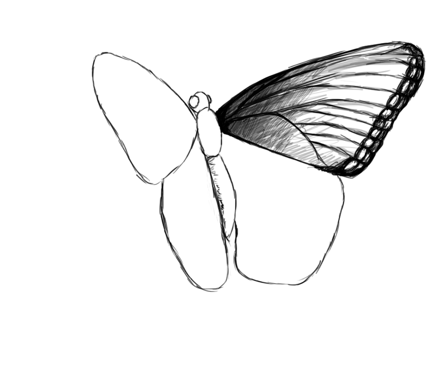 920x753 Drawn Butterfly Flying Butterfly