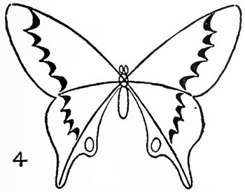 350x275 Amazing And Easy Butterfly Drawings Ultra Real Butterfly Drawings