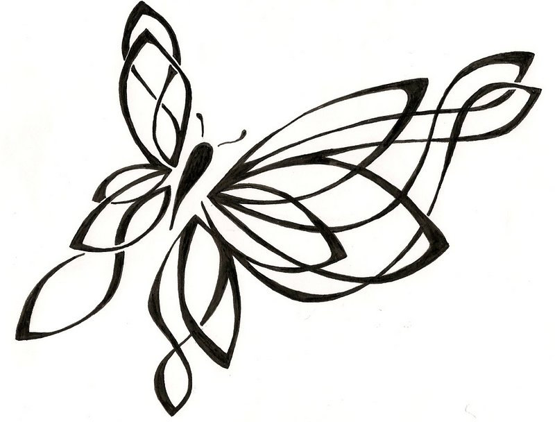 800x608 Monarch Butterfly Drawings In Pencil