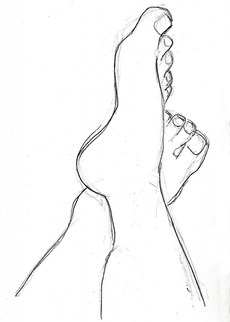 732x1024 Easy Sketching Make Butterfly Sketch Quickly And Easily Speed Is