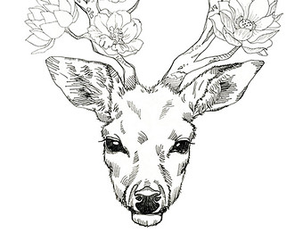 340x270 Face Of Black Swan Pencil Drawing Print 5x7