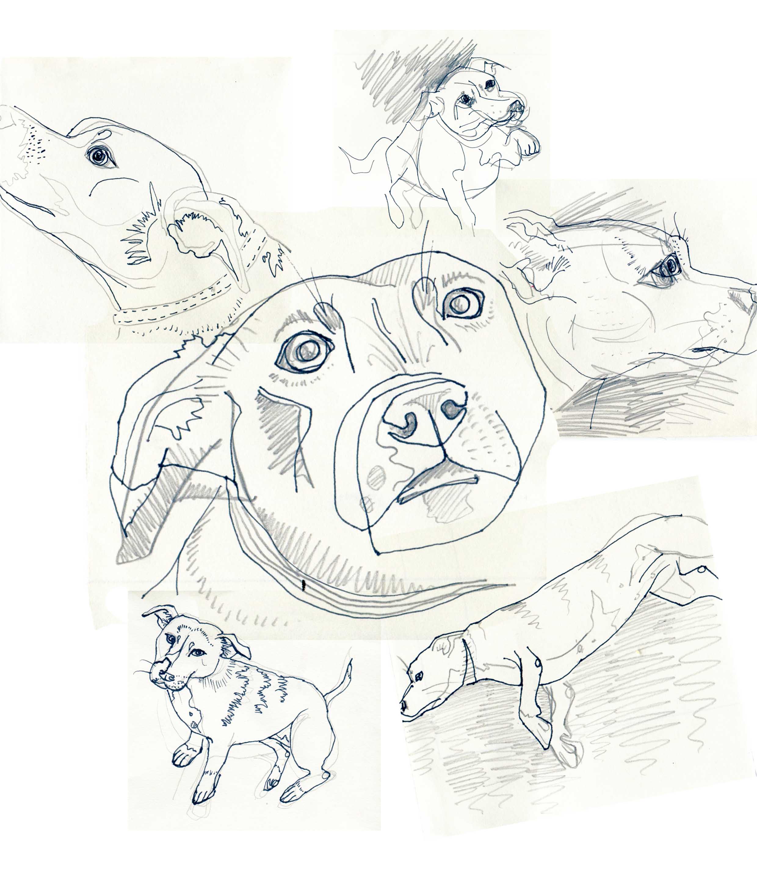 2480x2886 Pencil Sarah Kirk Illustration