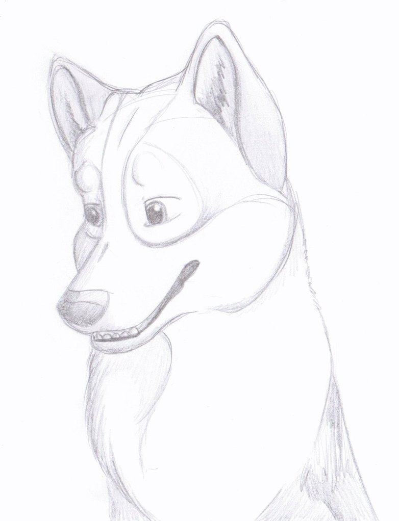 782x1022 Dog Drawings In Pencil Step By Step