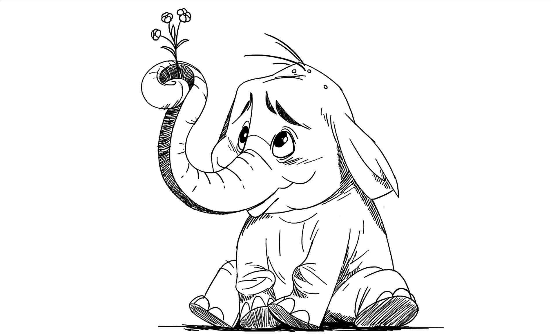 1900x1160 How Elephant Drawing To Draw Cartoon Youtube Drawn Toon Pencil