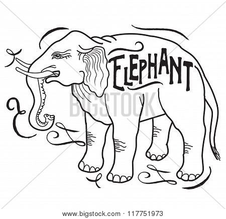 450x436 Drawn Elephant Contour Drawing
