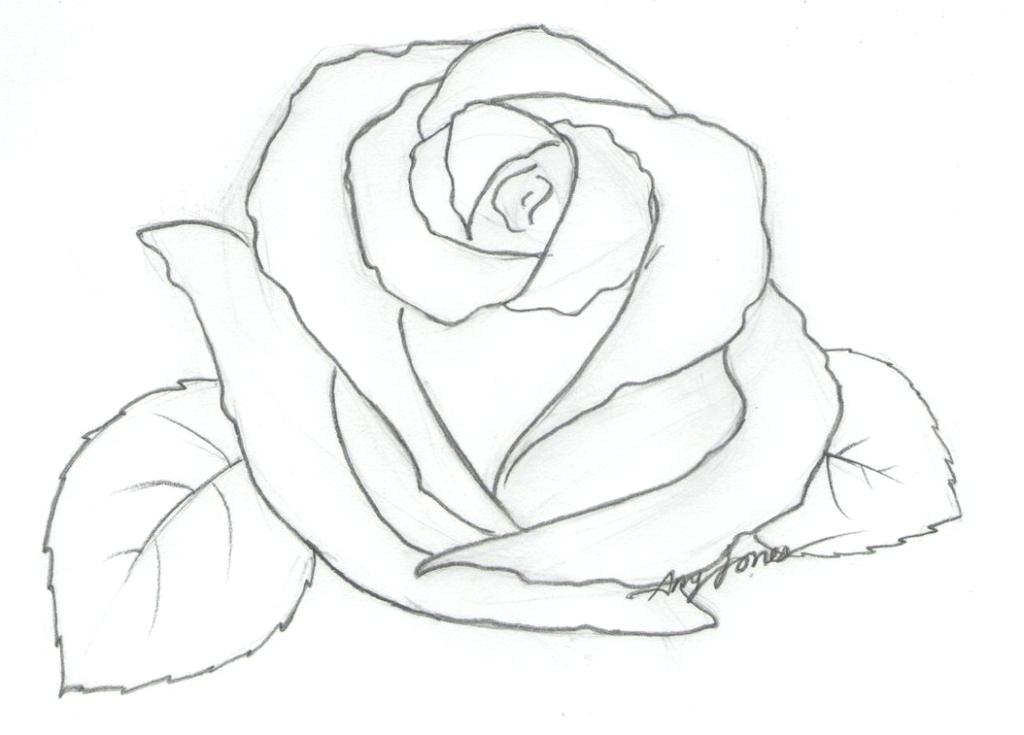 1024x735 Coloring A Rose Rose Coloring Books Also Coloring Page Of A Rose