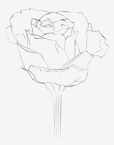 400x511 How To Draw A Rose Learn To Draw Rose Pencil Drawings Art Is Fun