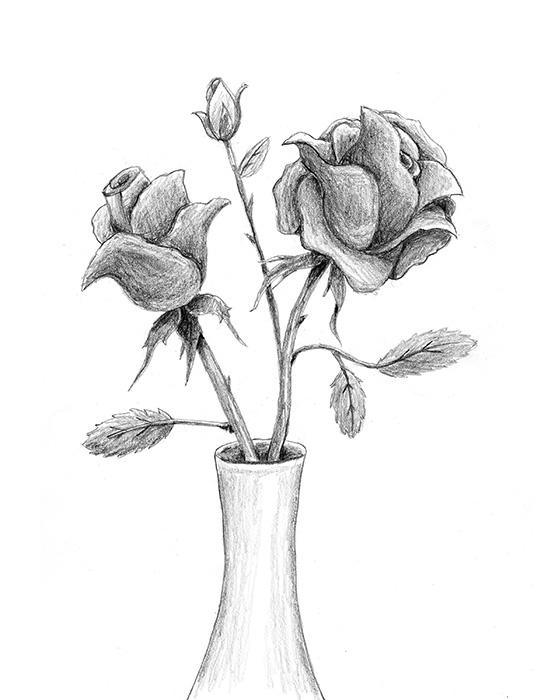 541x700 Photos Easy Pencil Drawing Of Rose In Vase,
