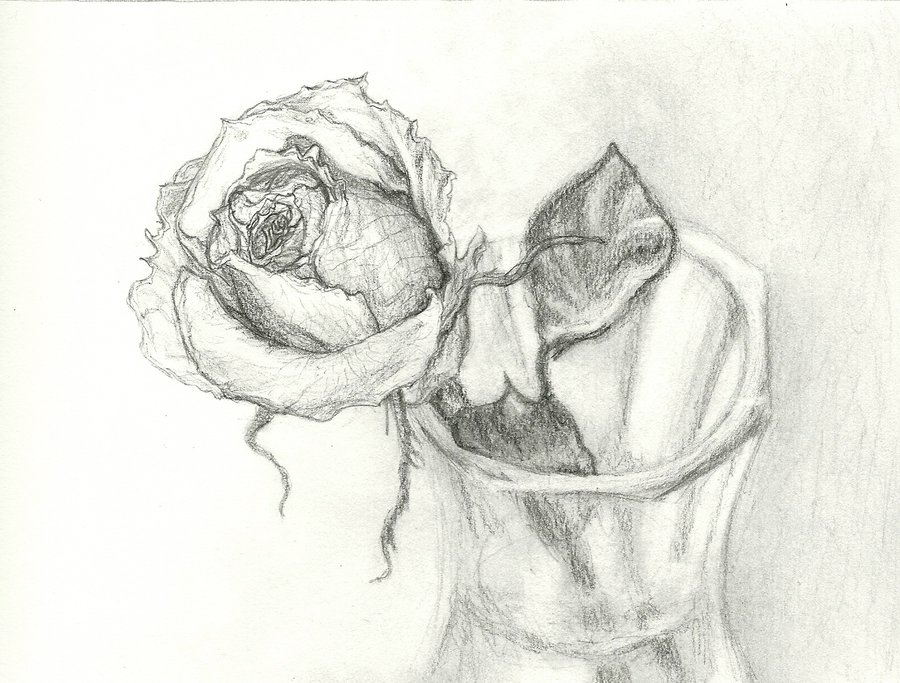 900x683 Rose In A Vase By Ja Kitsu Ryou