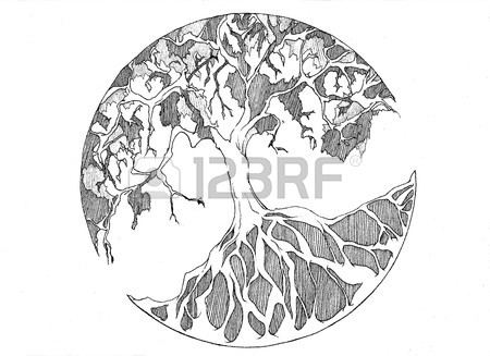 450x327 Tree Of Life Stock Photo, Picture And Royalty Free Image. Image
