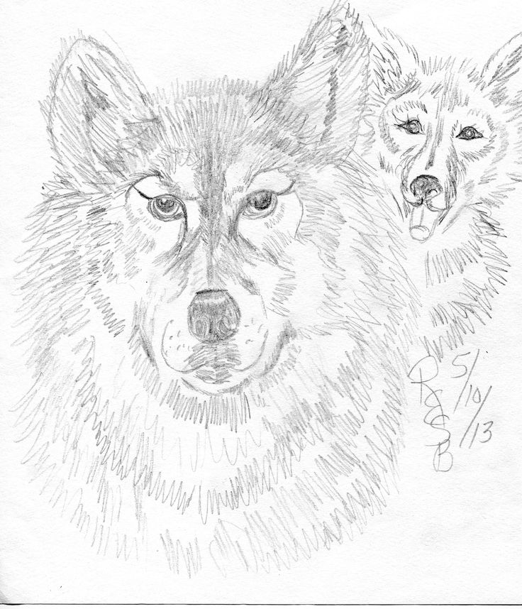 736x858 161 Best My Original Art Work