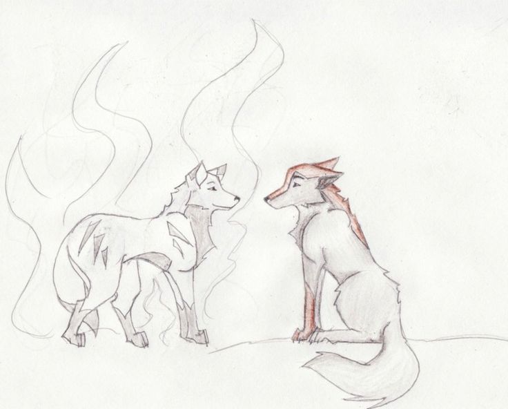 736x592 223 Best Wolves Images On Wolves, Beautiful Wolves