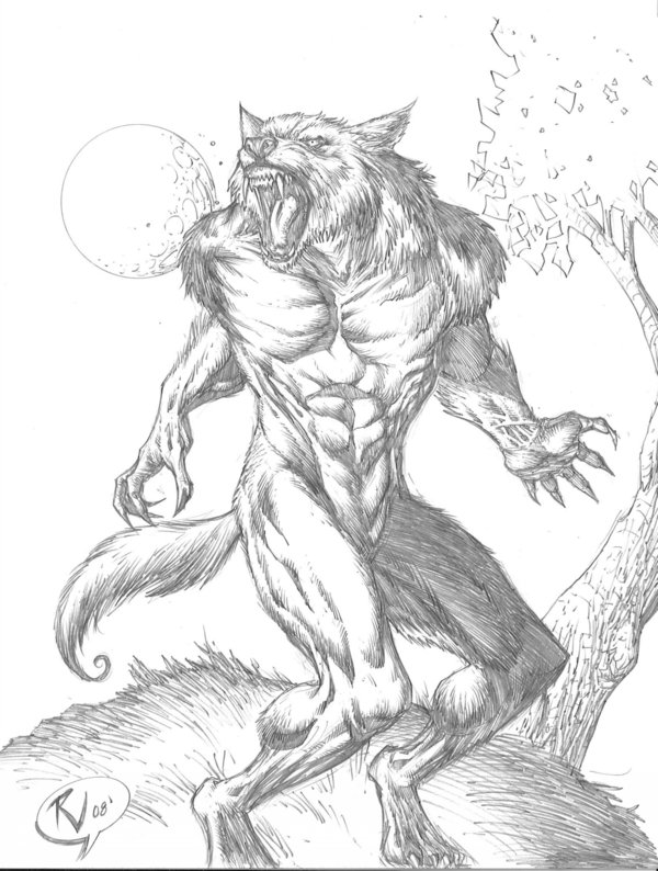 600x794 Realistic Werewolf Drawings In Pencil