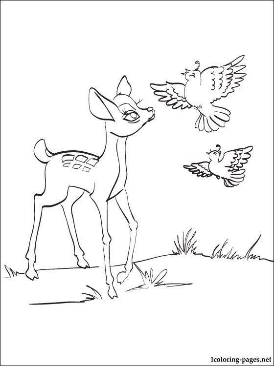 560x750 Bambi With A Partridges Pencil Drawing For Coloring Coloring Pages