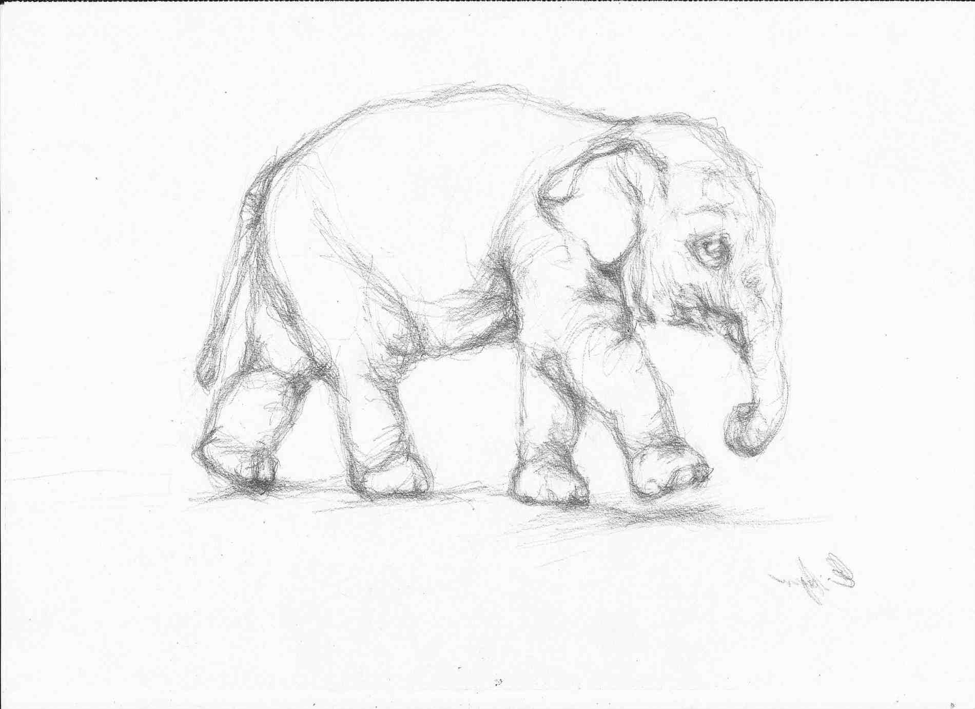 1900x1381 Free Pencil Drawing