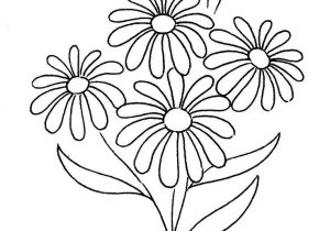 300x210 Daisy Flower Drawings Drawn Daisy Pencil
