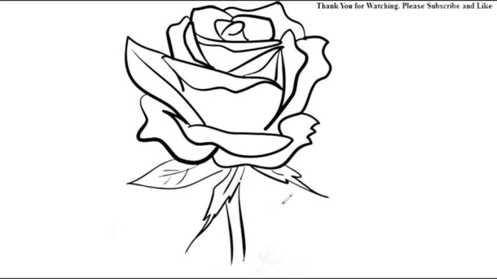 1024x576 Easy Rose Drawings How To Draw A Rose Flower Easy Line Drawing