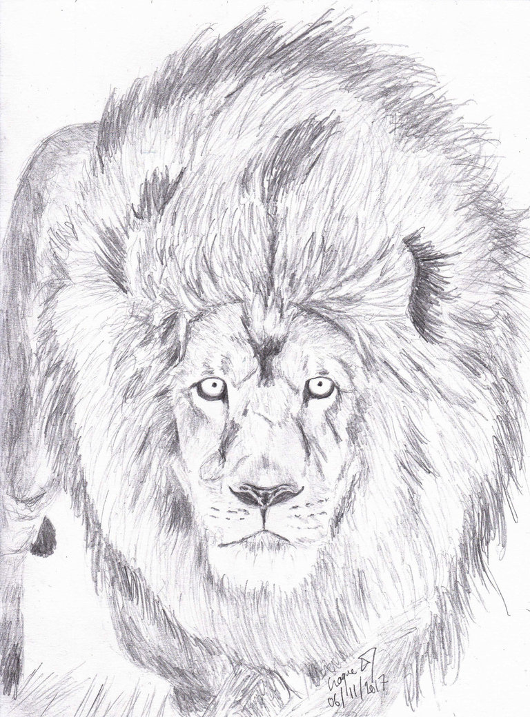 768x1040 Croquem (Croque)