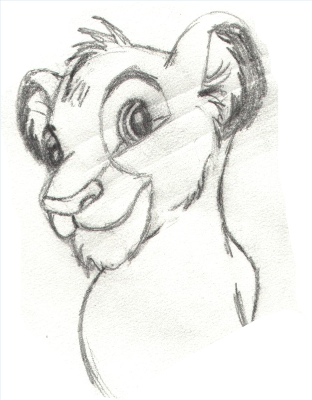 625x800 Draw Lion King Characters Using 2.5 800x800.jpg All Art