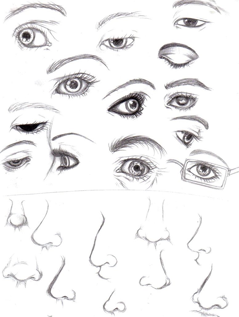 776x1029 Study Of Different Mouthlip Shapes. Note See Here For Larger
