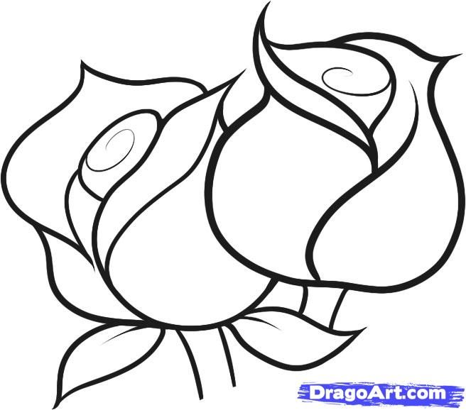 656x578 Pictures Simple Rose Drawings In Pencil For Kids,