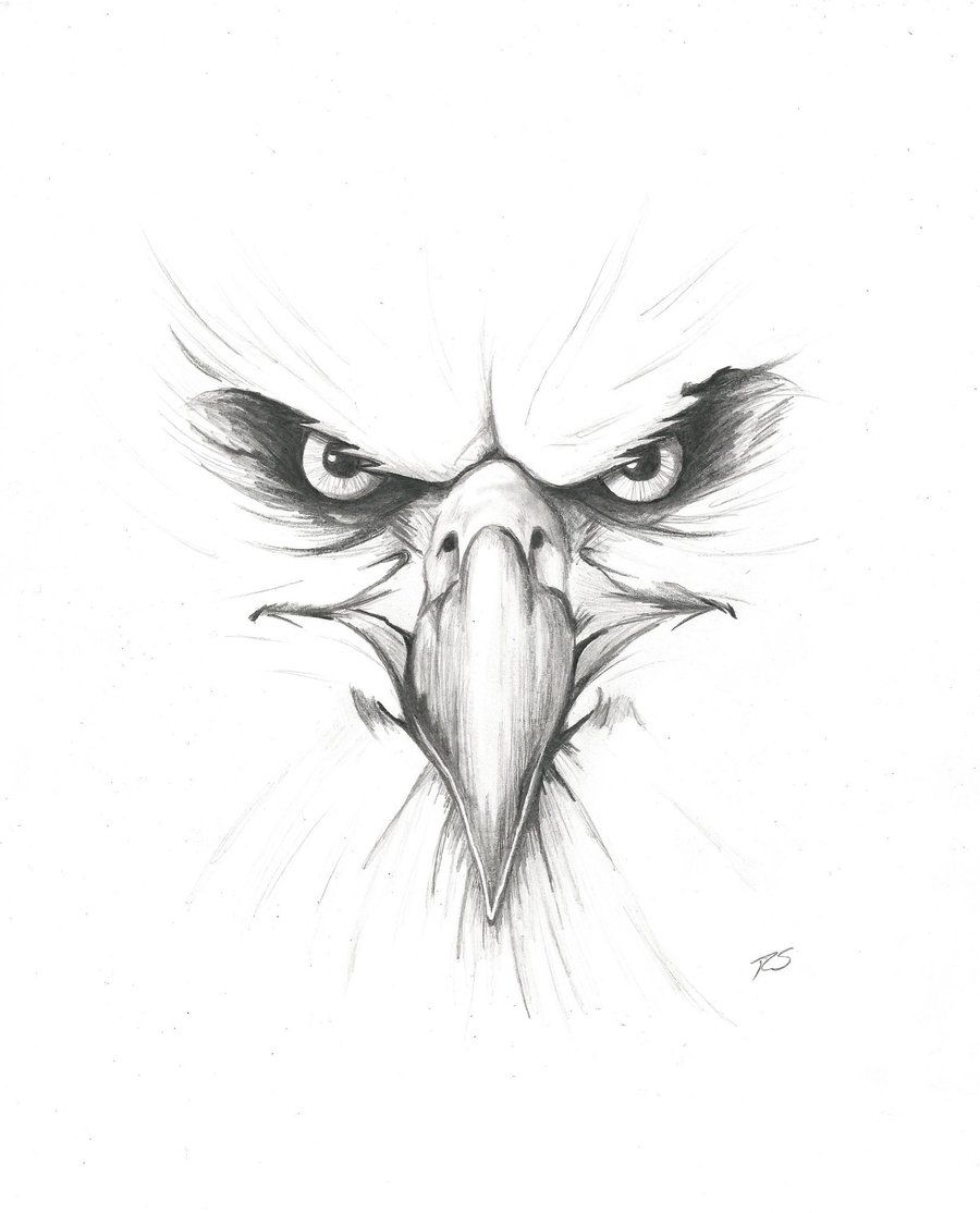 900x1114 Angry Pencil Drawings Angry Eagle~rshaw87 On Eagles