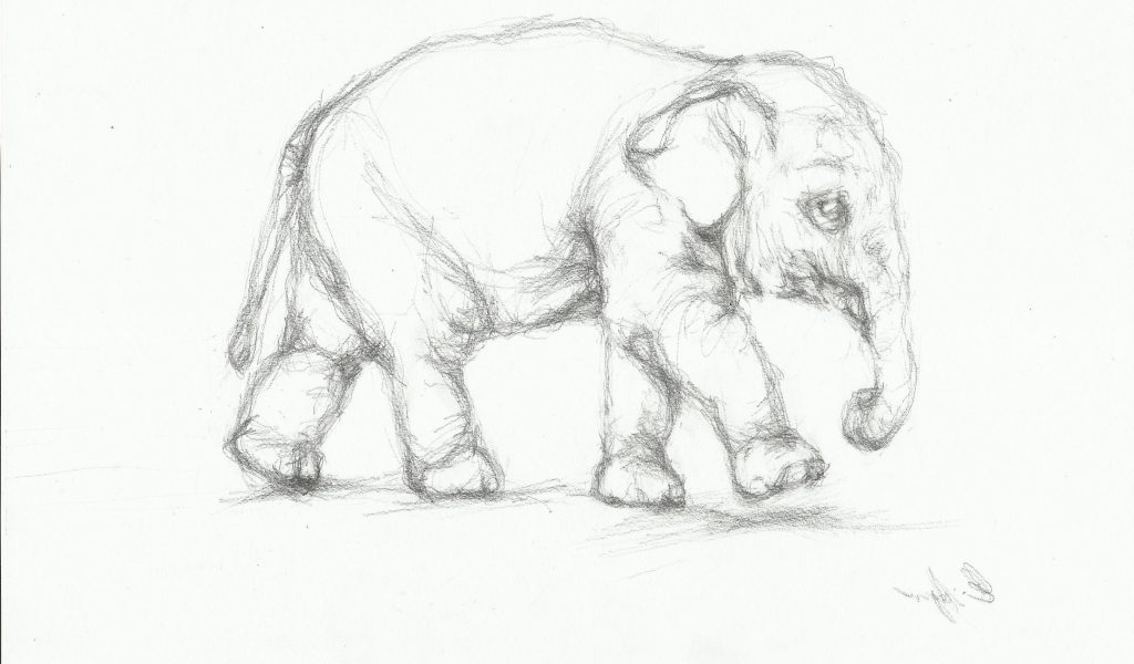 1024x600 Pencil Drawing Images Animals Gallery Animals Pencil Sketch