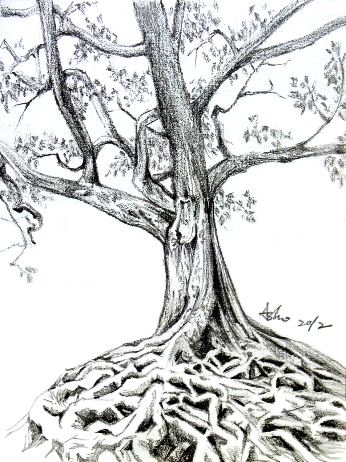 1124x1500 How To Draw Trees In Pencil Is A Question By Many Of The Beginners