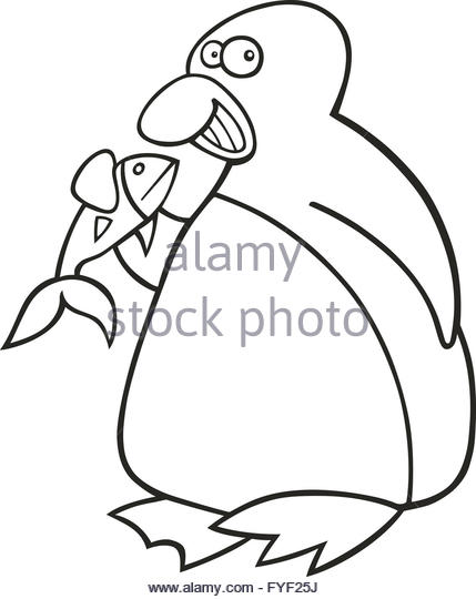 429x540 Black White Cartoon Drawing Penguin Stock Photos Amp Black White