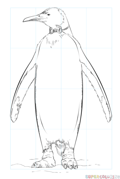 388x575 How To Draw A King Penguin Step By Step Drawing Tutorials