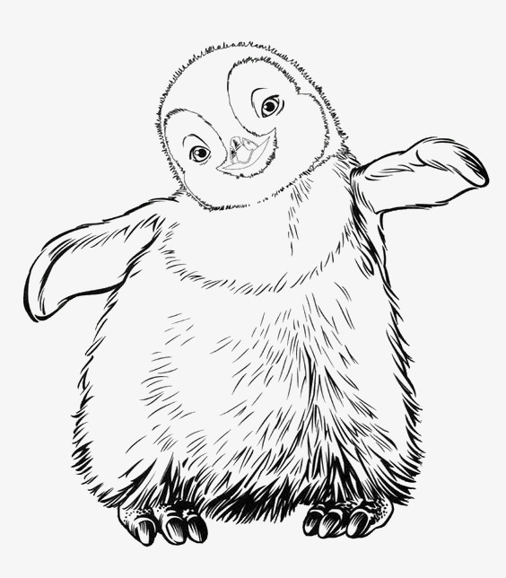 564x644 Cartoon Penguin, Penguin, Animal, Lovely Png Image For Free Download