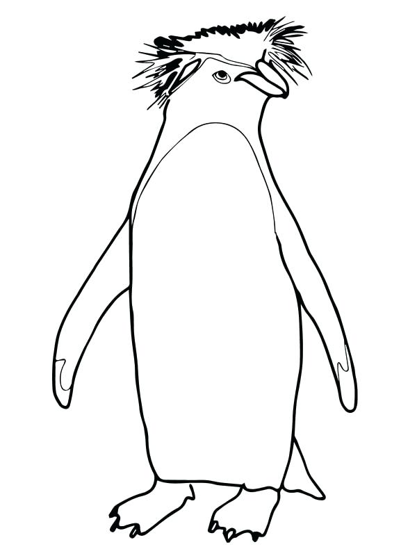 600x800 Coloring Page Penguin Club Penguin Coloring Pages To Print Cute