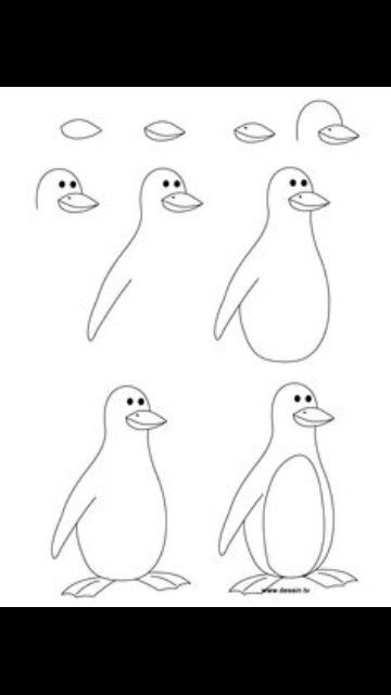 Penguin Drawing Easy