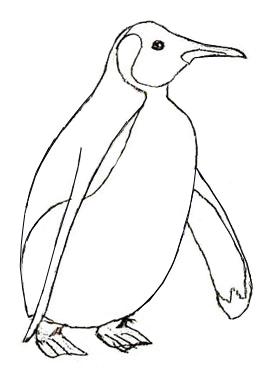 260x370 How To Draw A Penguin