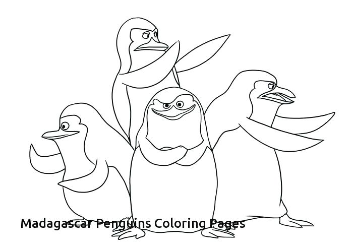700x500 Penguin Coloring Pages Penguin Coloring Pages Free Download