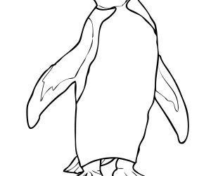 300x250 Awesome Coloring Books Free Downloads Top Coloring Book