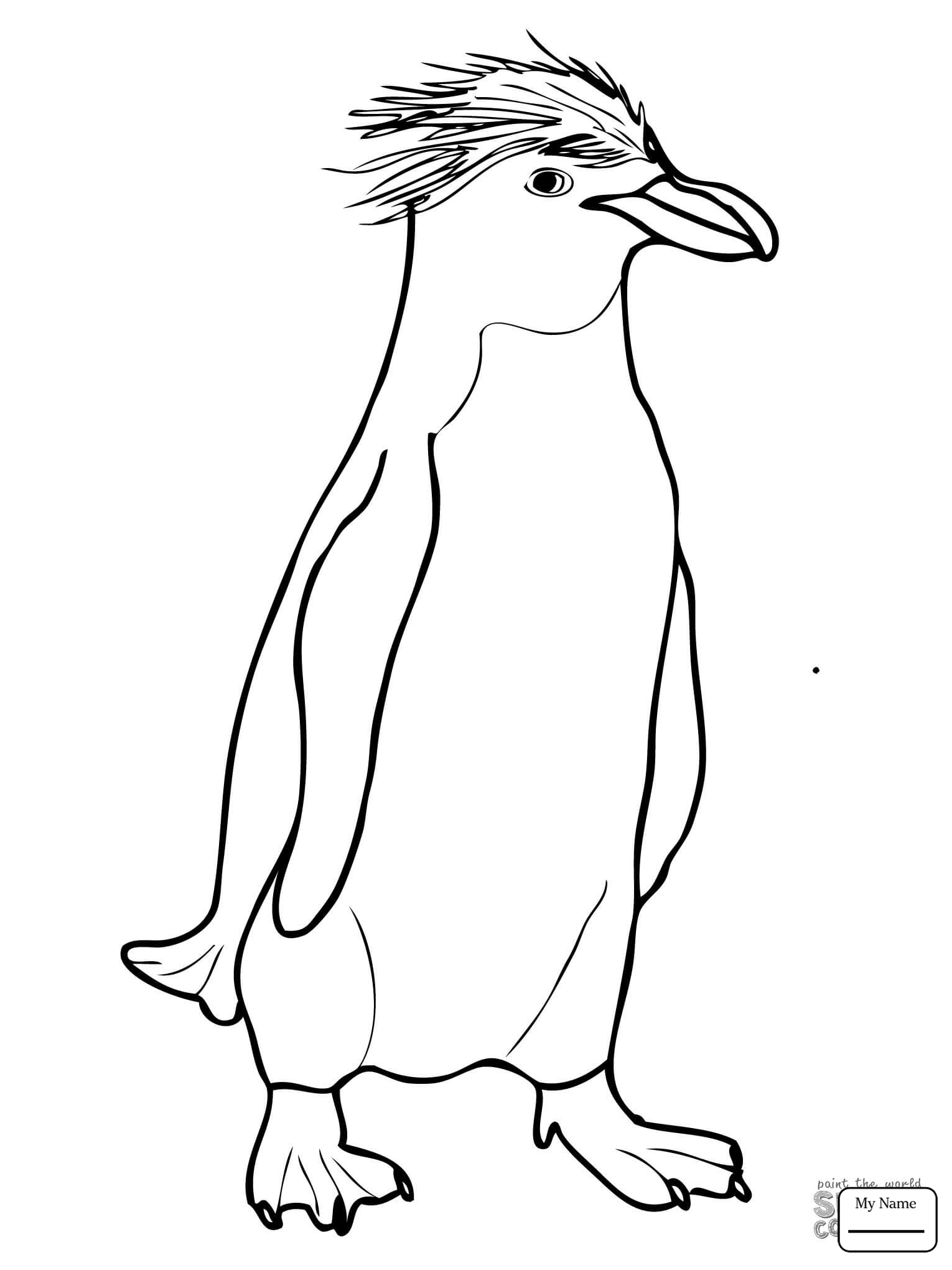 1530x2040 Coloring Pages For Kids Penguins Life Cycle Of A Penguin Birds