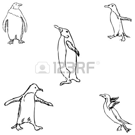 450x450 Hand Drawn Vector Illustration Cute Penguin Sitting On Egg