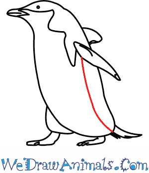 300x350 How To Draw A Chinstrap Penguin