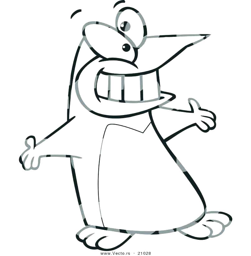 805x821 Coloring Page Penguin Decorative Outline Of Penguin Adult Anti