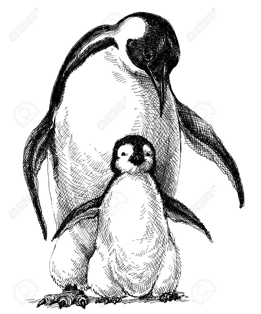 1080x1300 Penguins Family. Cute Baby Penguin And Parent Drawing Isolated