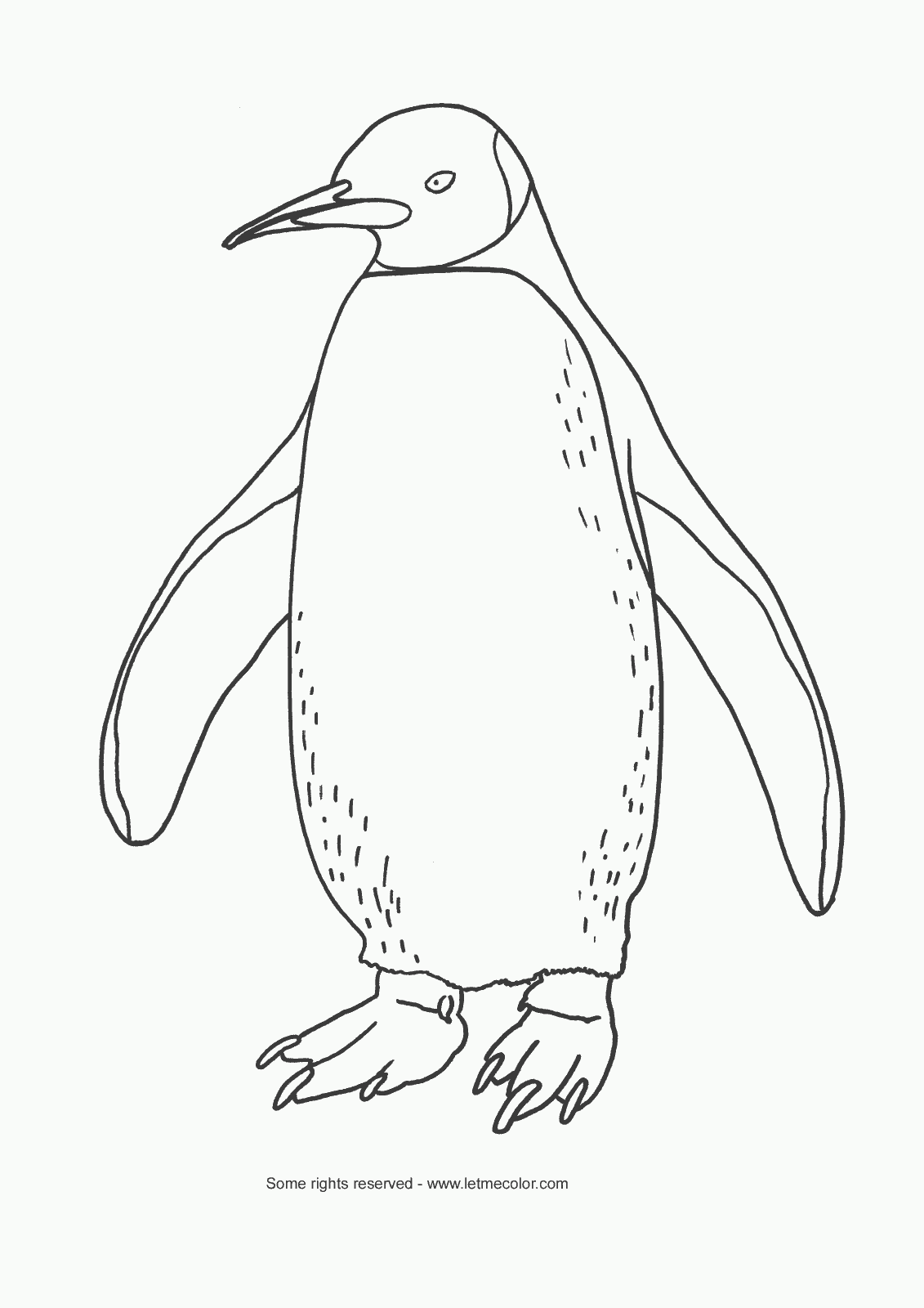 1131x1600 Enjoyable Design Penguin Outline B Free Images At Clker Com Vector