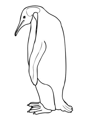 360x480 Emperor Penguin Coloring Page Free Printable Coloring Pages