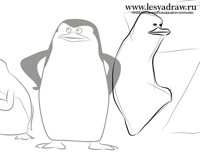 650x500 How To Draw Penguins From Madagascar