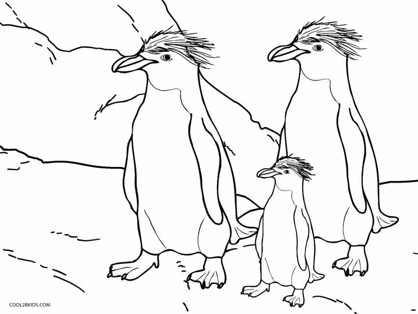 850x638 Printable Penguin Coloring Pages For Kids Cool2bkids