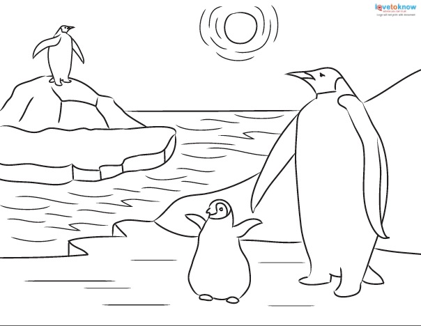 604x468 Printable Penguin Coloring Sheets And Facts For Kids Lovetoknow