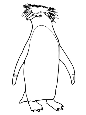 360x480 Rockhopper Penguin Coloring Page Free Printable Coloring Pages