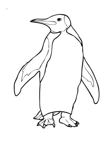 360x480 King Penguin Coloring Page Free Printable Coloring Pages