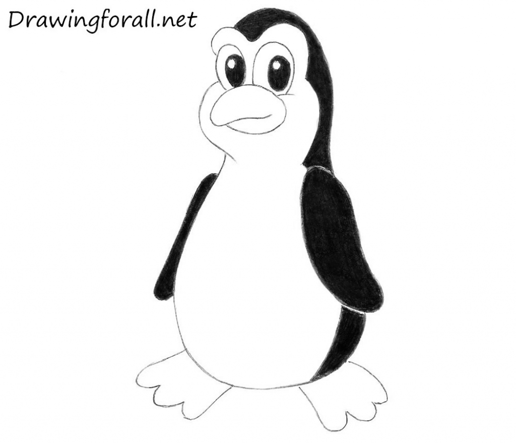 1024x878 Pencil Diagram Of Penguin How To Draw Penguins, Stepstep, Arctic
