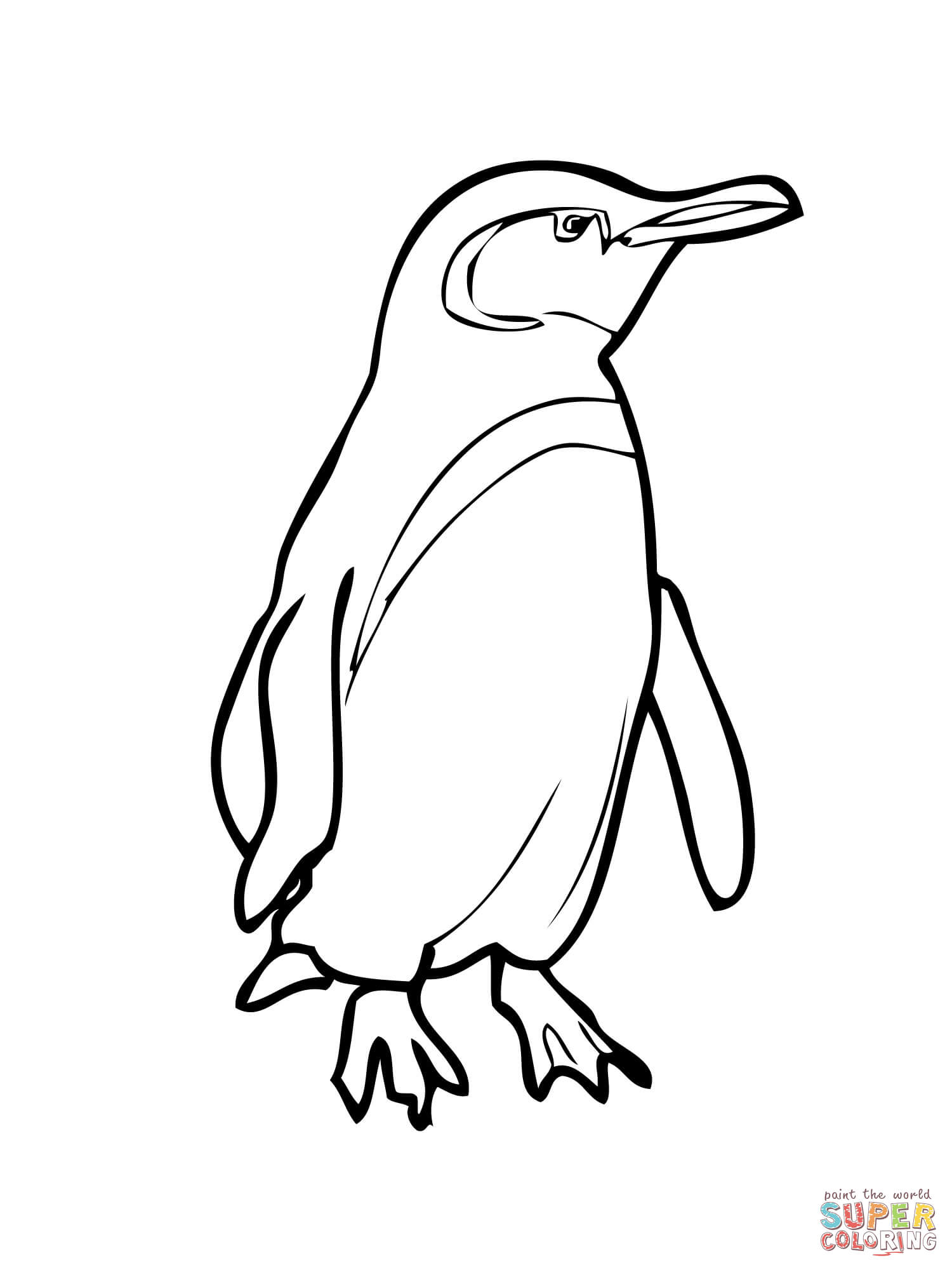 1500x2000 Yellow Eyed Penguin Drawing